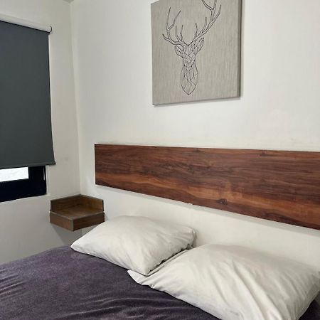 Apartamentos Ambassador 提华纳 外观 照片